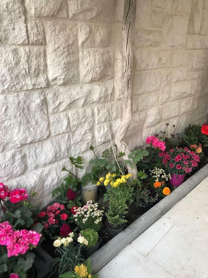 Apartman Crnica Sibenik Exterior photo